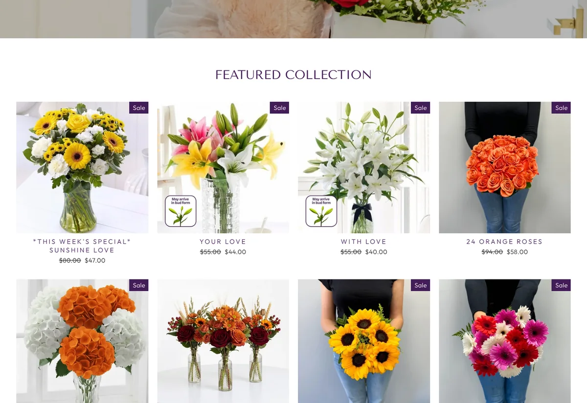 Bloomen website